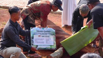 DALAM RANGKA PERAYAAN IDUL ADHA DARUL FALAH SEMBELIH 4 EKOR SAPI DAN 3 EKOR KAMBING